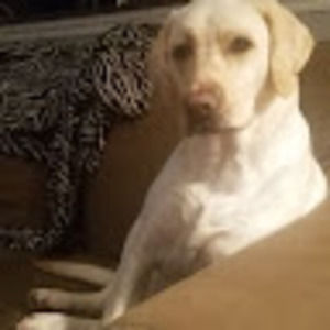 Meet your Posher, Mark james